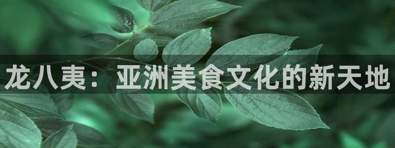 新宝5：龙八夷：亚洲美食文化的新天地