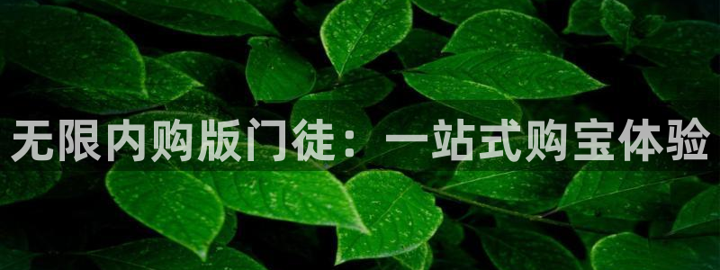 东莞市新宝5电子科技有限公司：无限内购版门徒：一站式购宝体验