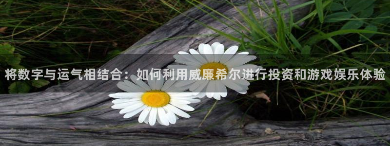 新宝5体育平台总代理：将数字与运气相结合：如何利用威廉希尔进行投资和游戏娱乐体验