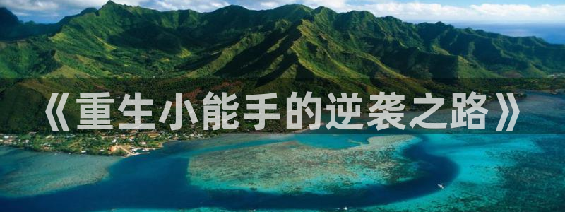 新宝52平台登录：《重生小能手的逆袭之路》