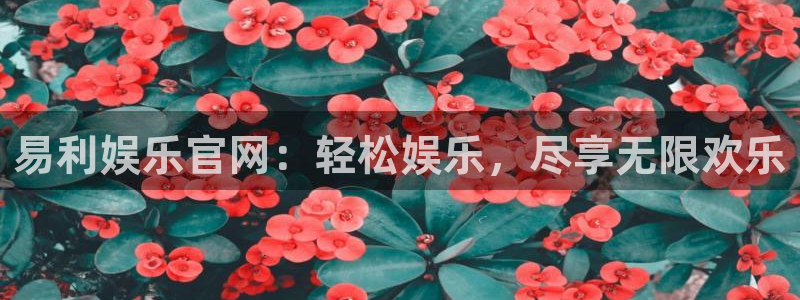 新宝5体育注册登录入口：易利娱乐官网：轻松娱乐，尽享无限欢乐