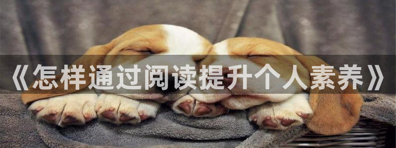 新宝53：《怎样通过阅读提升个人素养》
