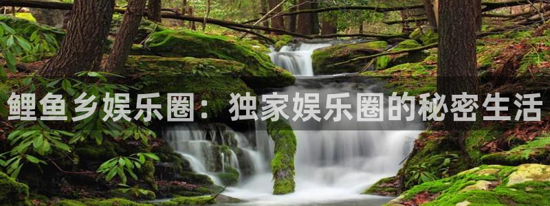 新宝5体育官网登录：鲤鱼乡娱乐圈：独家娱乐圈的秘密生活