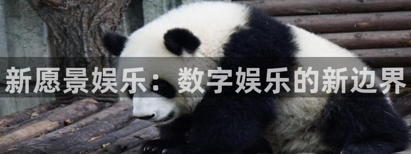 新宝5平台注册：新愿景娱乐：数字娱乐的新边界
