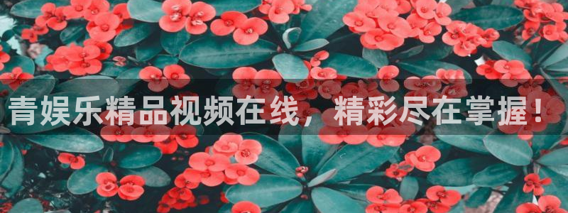 新宝5：青娱乐精品视频在线，精彩尽在掌握！