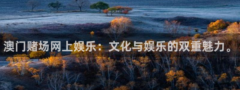 新宝5环保：澳门赌场网上娱乐：文化与娱乐的双重魅力。