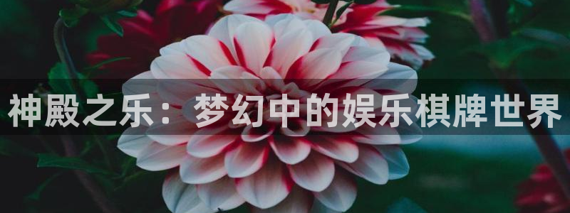 新宝5体育f开号：神殿之乐：梦幻中的娱乐棋牌世界