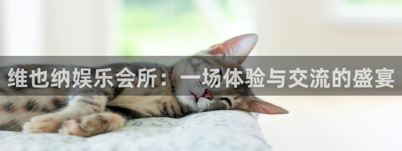 新宝5体育官网登录：维也纳娱乐会所：一场体验与交流的盛宴