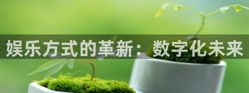 新宝5f平台注册：娱乐方式的革新：数字化未来