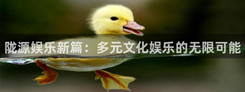 新宝5体育平台开号链接：陇源娱乐新篇：多元文化娱乐的无限可能
