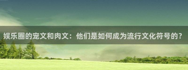 新宝5体育4：娱乐圈的宠文和肉文：他们是如何成为流行文化符号的？