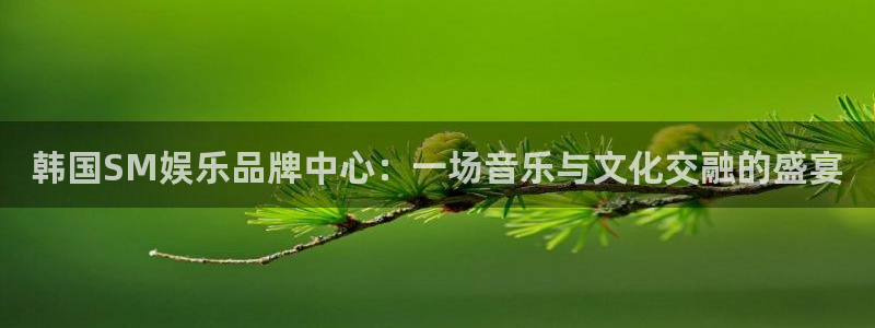 新宝5登录注册：韩国SM娱乐品牌中心：一场音乐与文化交融的盛宴