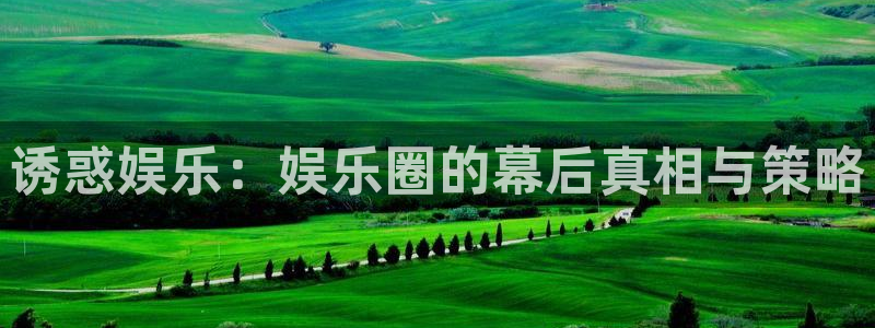 新宝5k：诱惑娱乐：娱乐圈的幕后真相与策略