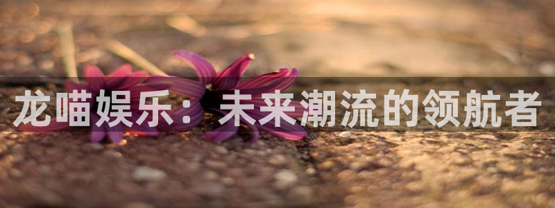 新宝5体育3：龙喵娱乐：未来潮流的领航者