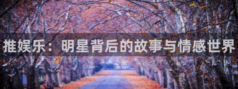 新宝5vk：推娱乐：明星背后的故事与情感世界