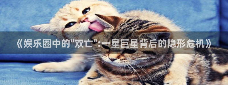 新宝5体育注册代理：《娱乐圈中的\
