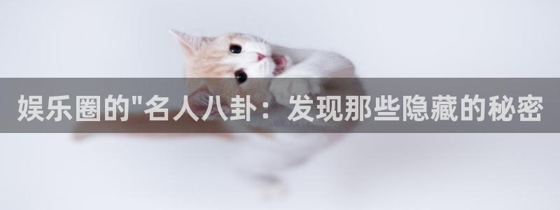 新宝5体育f开户