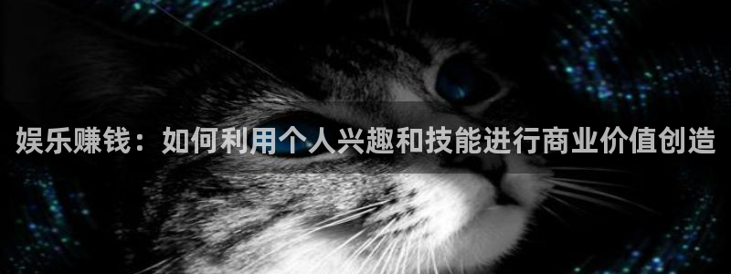 新宝5体育app下载：娱乐赚钱：如何利用个人兴趣和技能进行商业价值创造