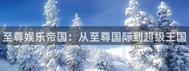 新宝5游戏有哪些好玩的：至尊娱乐帝国：从至尊国际到超级王国