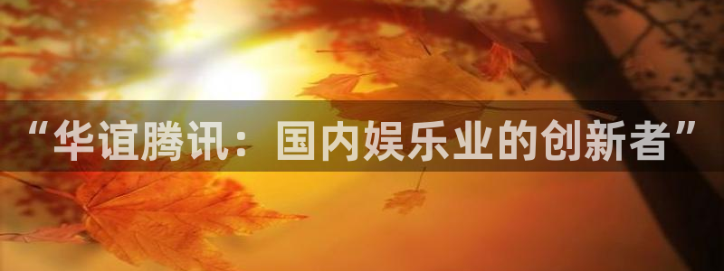 新宝5平台官网：“华谊腾讯：国内娱乐业的创新者”