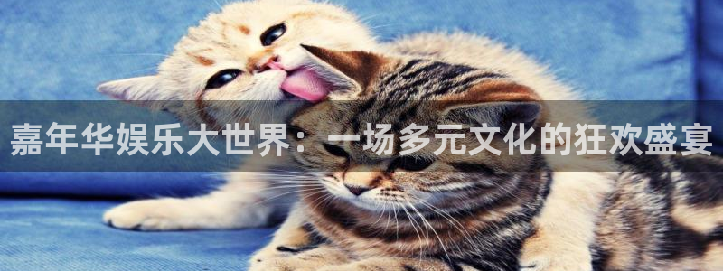新宝5官网：嘉年华娱乐大世界：一场多元文化的狂欢盛宴