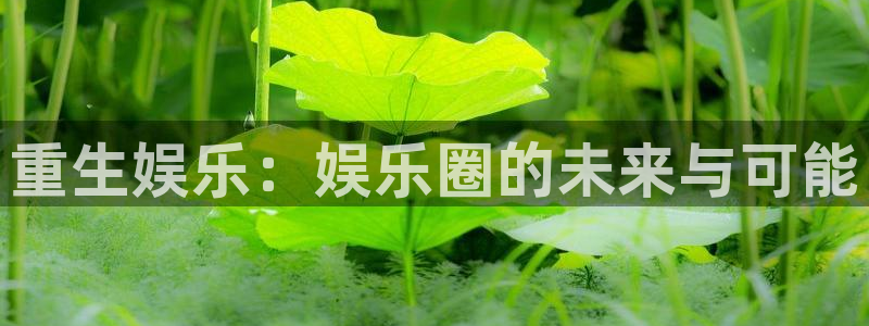 新宝5主管：重生娱乐：娱乐圈的未来与可能