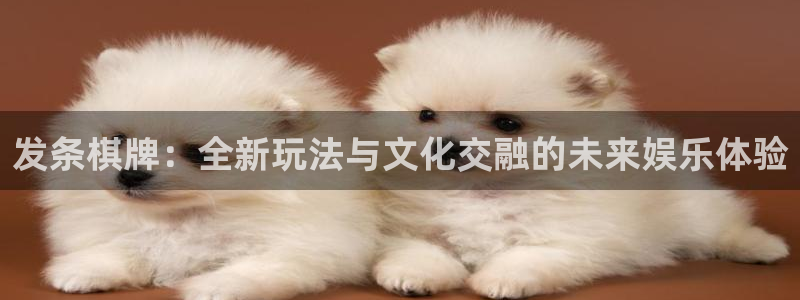 新宝5登录界面入口：发条棋牌：全新玩法与文化交融的未来娱乐体验
