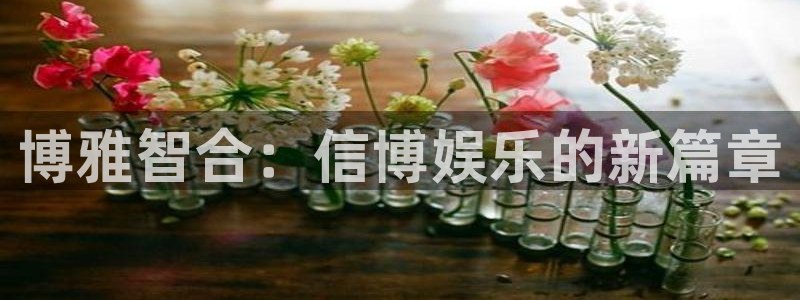 新宝5凯捷平台注册链接：博雅智合：信博娱乐的新篇章